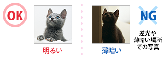 Design image selection Rule Image 4