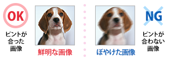 Design image selection Rule Image 8