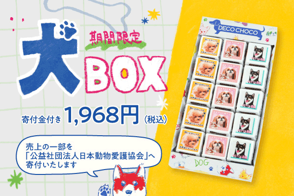 犬BOXバナー