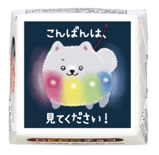 【犬の日】ポメラニアン 暗闇で光る