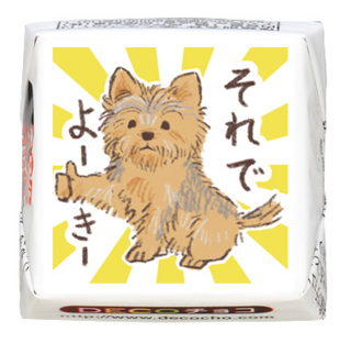 【犬の日】ヨーキー それでよーきー
