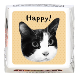 【猫の日】Happy! オレンジ