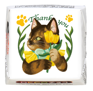 【猫の日】Thank you サビ猫