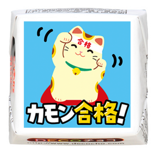 【受験】カモン合格