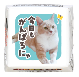 【猫の日】茶トラ 今日もがんばろにゃ