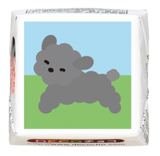 【犬の日】トイプードル かけまわる