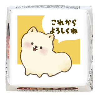 【犬の日】ポメラニアン これからよろしくね
