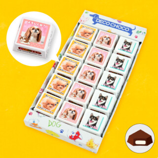 ■限定！犬BOX■DECOチョコ 15個セット ミルク
