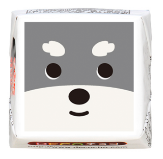 【犬の日】ミニチュアシュナウザーアップ