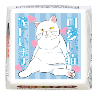 【猫の日】白猫 かわいい猫います