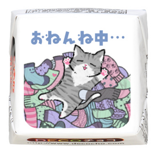 【猫の日】靴下猫　おねんね中