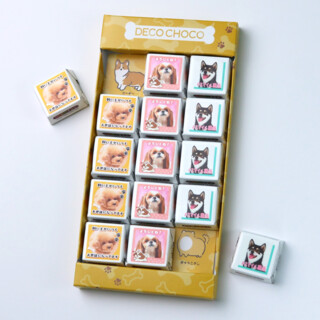 ■犬の日限定■DECOチョコ 15個セット ミルク