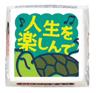 【お祝い】人生を楽しんで 亀