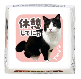 【猫の日】ハチワレ 休憩してにゃ