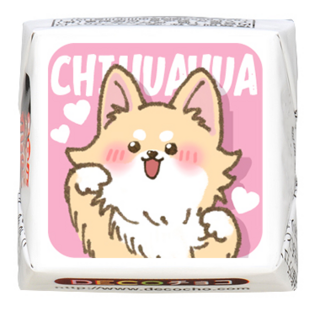 【犬の日】チワワ ジャンプ