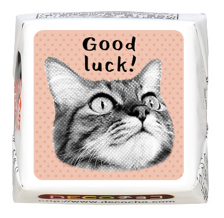 【猫の日】Good Luck! オレンジ