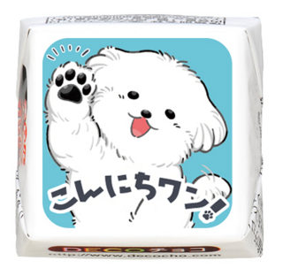 【犬の日】こんにちワン！マルチーズ
