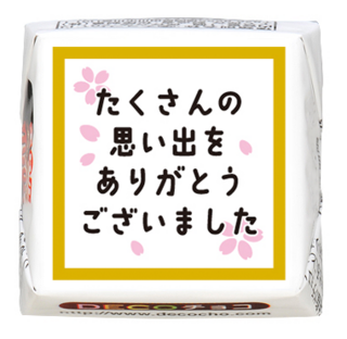 【送別】たくさんの思い出 色紙