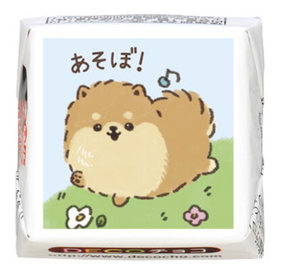 【犬の日】ポメラニアン あそぼ