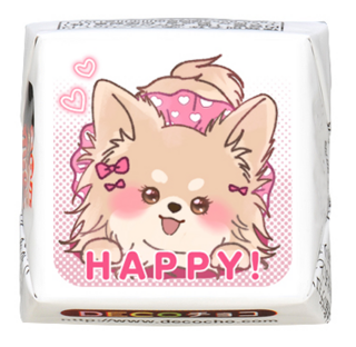 【犬の日】チワワ HAPPY