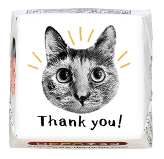 【感謝】Thank　you　ネコ
