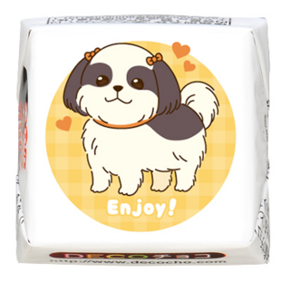 【犬の日】シーズー Enjoy