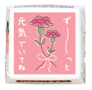 【母の日】カーネーション 元気でいてね