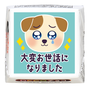 【感謝】大変お世話に ぴえん犬