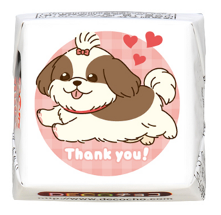 【犬の日】シーズー Thank you