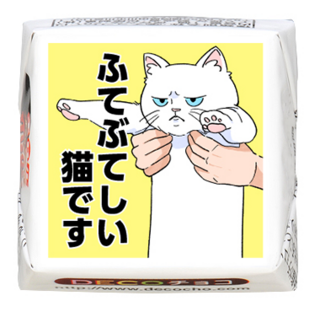 【猫の日】白猫 ふてぶてしい猫