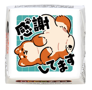 【感謝】感謝してます  柴犬