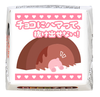 【バレンタイン】チョコにハマる