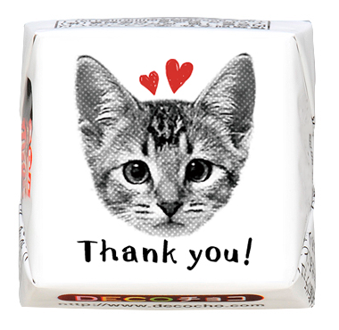 0c9482b307e7bf9d3a402d8fe50574