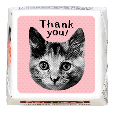 11bc8ac62dc595b9f21fd9b0d2cc9f