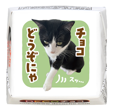 猫の日】ハチワレ チョコどうぞにゃ｜【特集】猫フェス｜500種類以上の