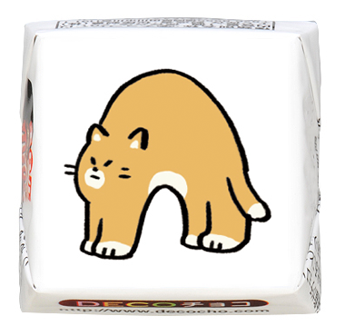 ゆこの⭐︎アルファベットネコ ゆこの⭐︎アルファベットネコ 870ff747816984b33b225f6bd0fcb8