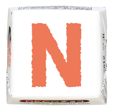 アルファベット（ペイント）】N｜アルファベット（ペイント）｜500種類