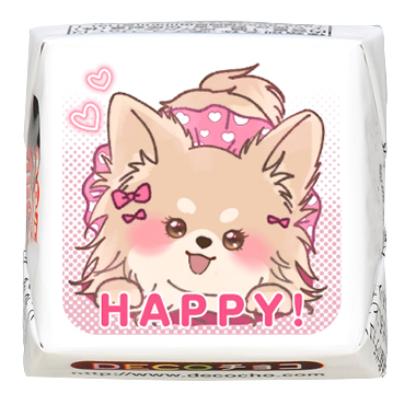 犬の日】チワワ HAPPY｜動物｜【特集】犬フェス｜500種類以上の