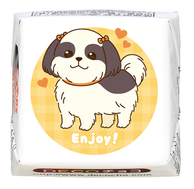 犬の日】シーズー Enjoy｜動物｜【特集】犬フェス｜500種類以上の