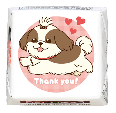 犬の日】シーズー Thank you|感謝|動物|【特集】犬フェス 犬の日】シーズー Thank you|感謝|動物|【特集】犬フェス