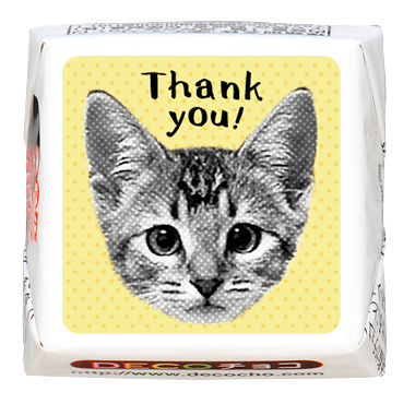 ちょこたん様 fbe22f1eaaeaa73d33eec96963c2db